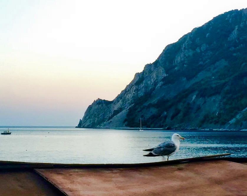 La Muraria Monterosso al Mare Exteriör bild